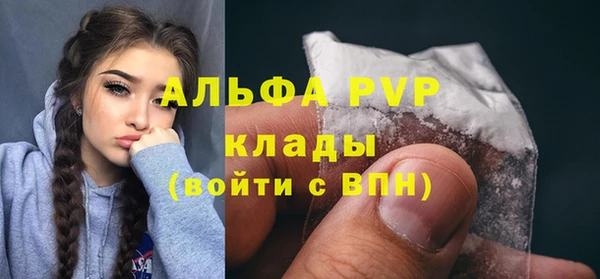 молекула духа Бородино