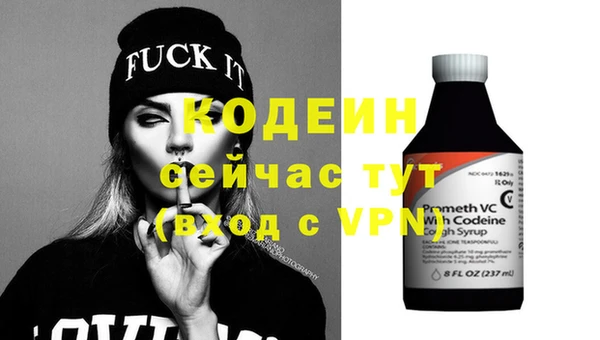 молекула духа Бородино