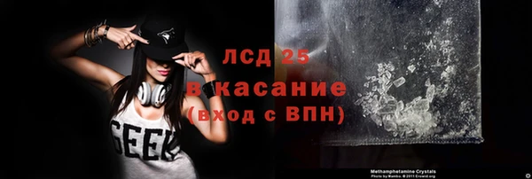 молекула духа Бородино