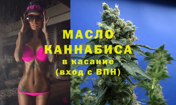 молекула духа Бородино