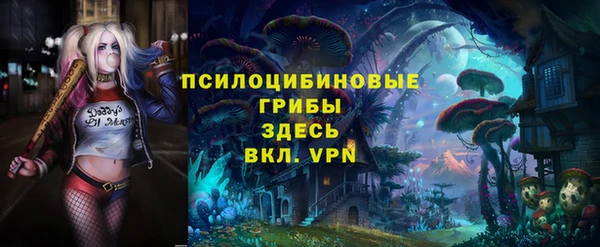 МДПВ Тайга