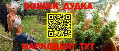 индика Кунгур