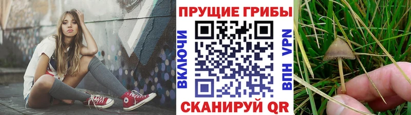 ссылка на мегу сайт  Гусев  Псилоцибиновые грибы MAGIC MUSHROOMS 