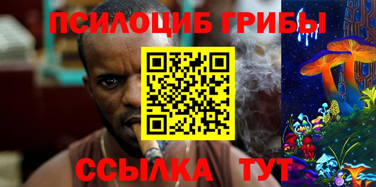 Галлюциногенные грибы Psilocybine cubensis Гусев