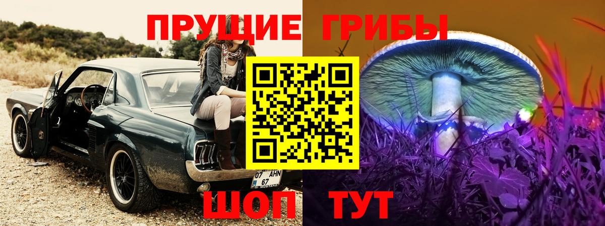 Гусев  Псилоцибиновые грибы мицелий  купить  цена  Вход с VPN 